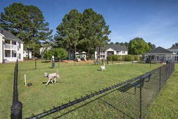 two dogs running in a fenced in area with houses in the background